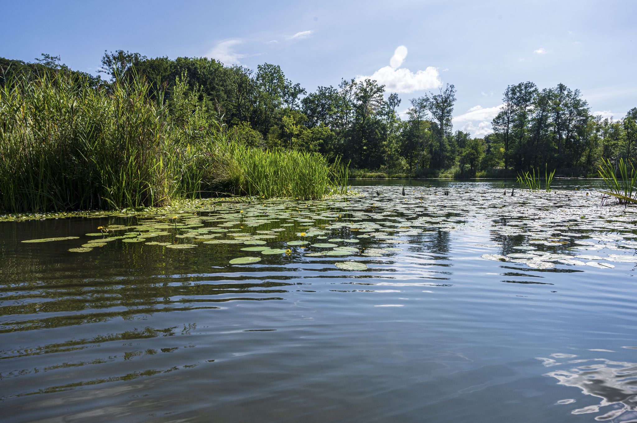 Kajaktour Leutstettner Moos 21.08.2022